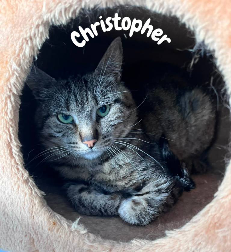 Christopher