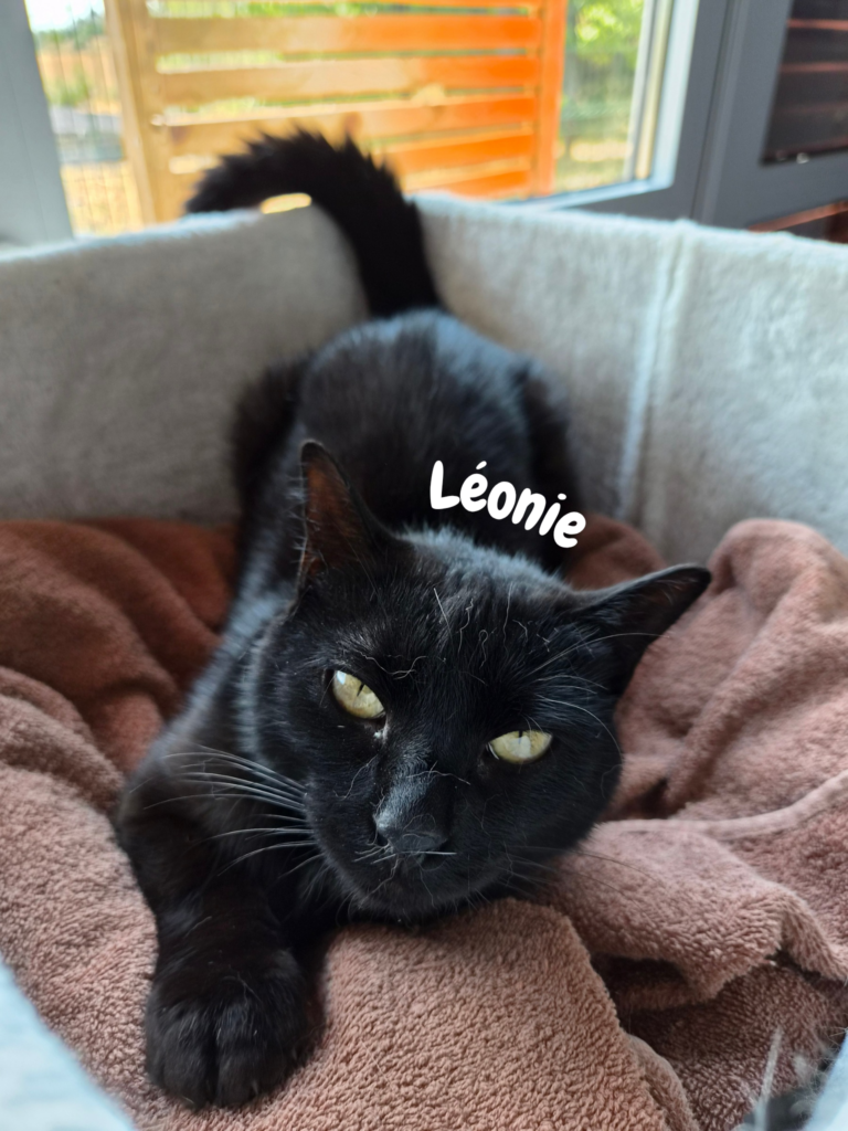 Léonie